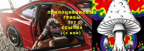 дмт Алексин