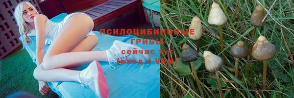дмт Алексин