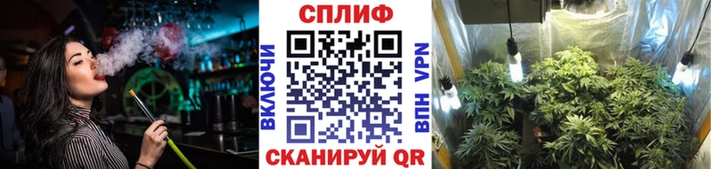 Конопля ГИДРОПОН  Грязовец 